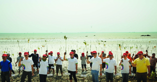 Tanam _pohon _Belitung