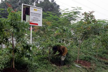 UI- CSR Pertamina