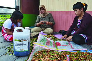 Pengrajin _mangrove _Batik