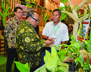 Pertamina _agrinex 2014