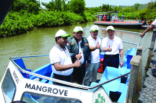 Kapal _Mangrove