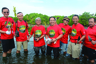 Mangrove _Nation