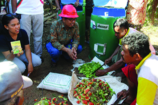 Kompos _Papua