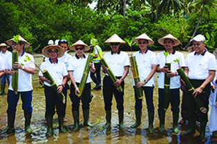 Mangrove _Padang