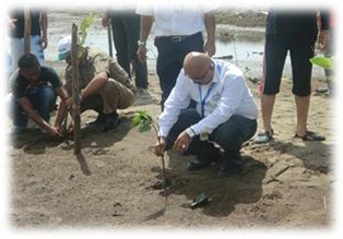 Mangrove Aceh