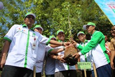 CSR Hutansubang