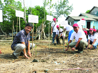 Pertamina _Tongkang _CSR_Mangrove