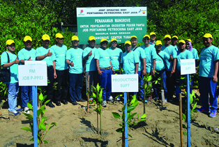 4-JOB PPEJ TANAM MANGROVE 3