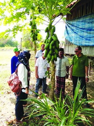 7-PHE WMO Pemanfaatan Produk Binaan