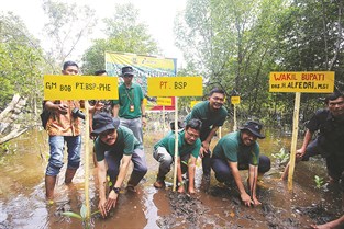 6-BOB PT BSP-PHE Penanaman Bibit Pohon Mangrove